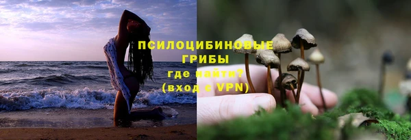синтетический гашиш Белокуриха